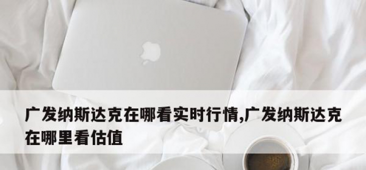 广发纳斯达克在哪看实时行情,广发纳斯达克在哪里看估值