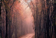 传统建材业走出绿色转型新路子